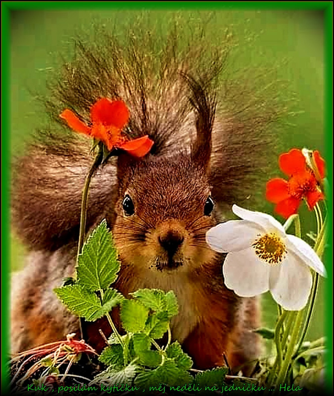 neděle10.9.23úúúpr