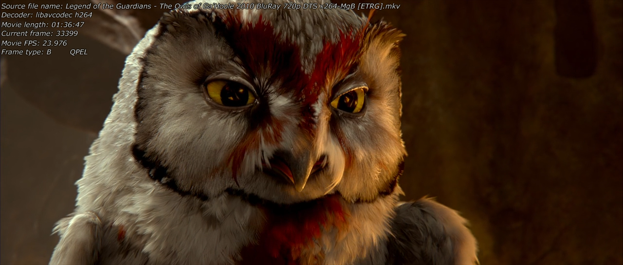 Legend of the Guardians - The Owls of Ga'Hoole 2010 Screen 06