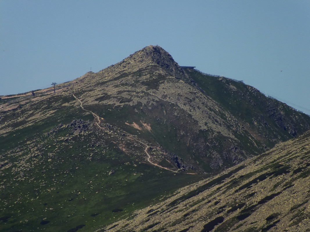2019_0630DUMBIER0075