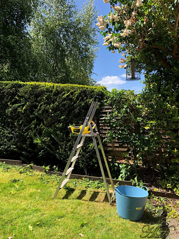 Garden-ladders-trug-HD.jpg