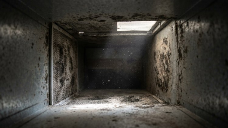 Can Mold in AC Ducts Trigger Asthma Attacks
