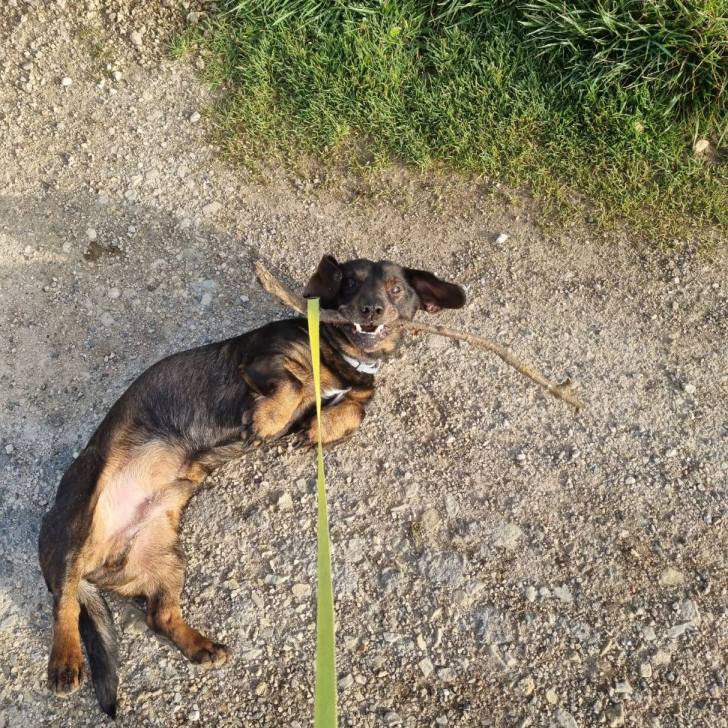 [Image: image000000-77.jpg]