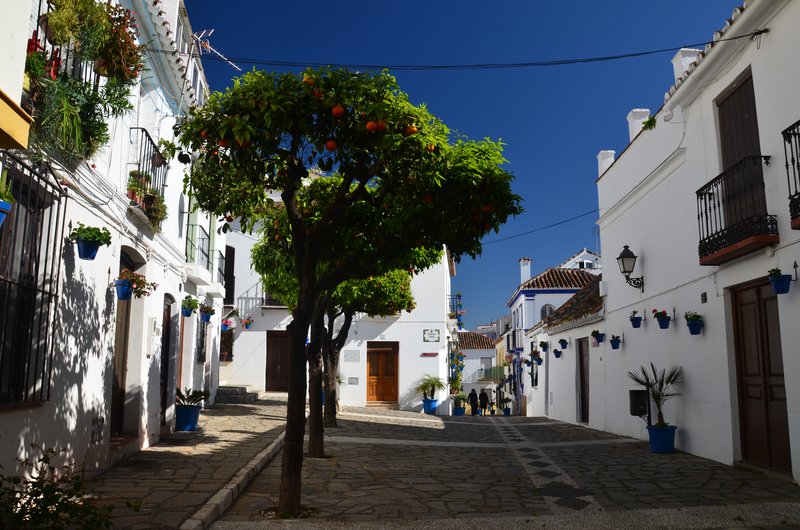 ESTEPONA-9-3-2017 - Málaga y sus pueblos-2009/2017 (25)