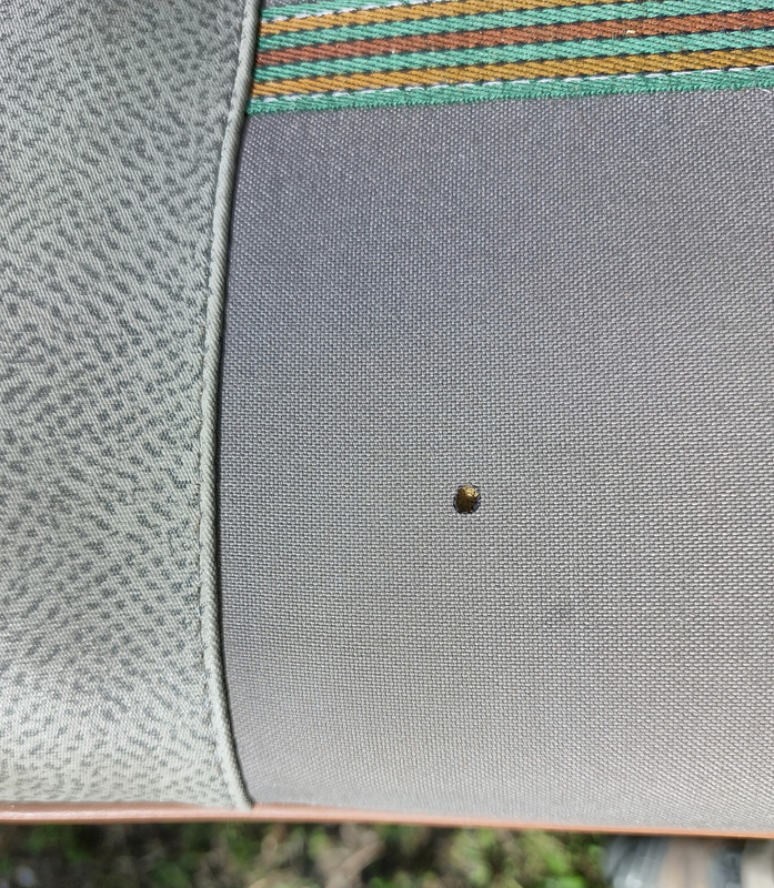 IMG_20220927_150850_DRO