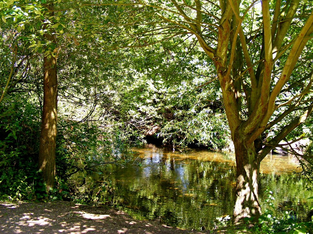 The-creek-HD.jpg