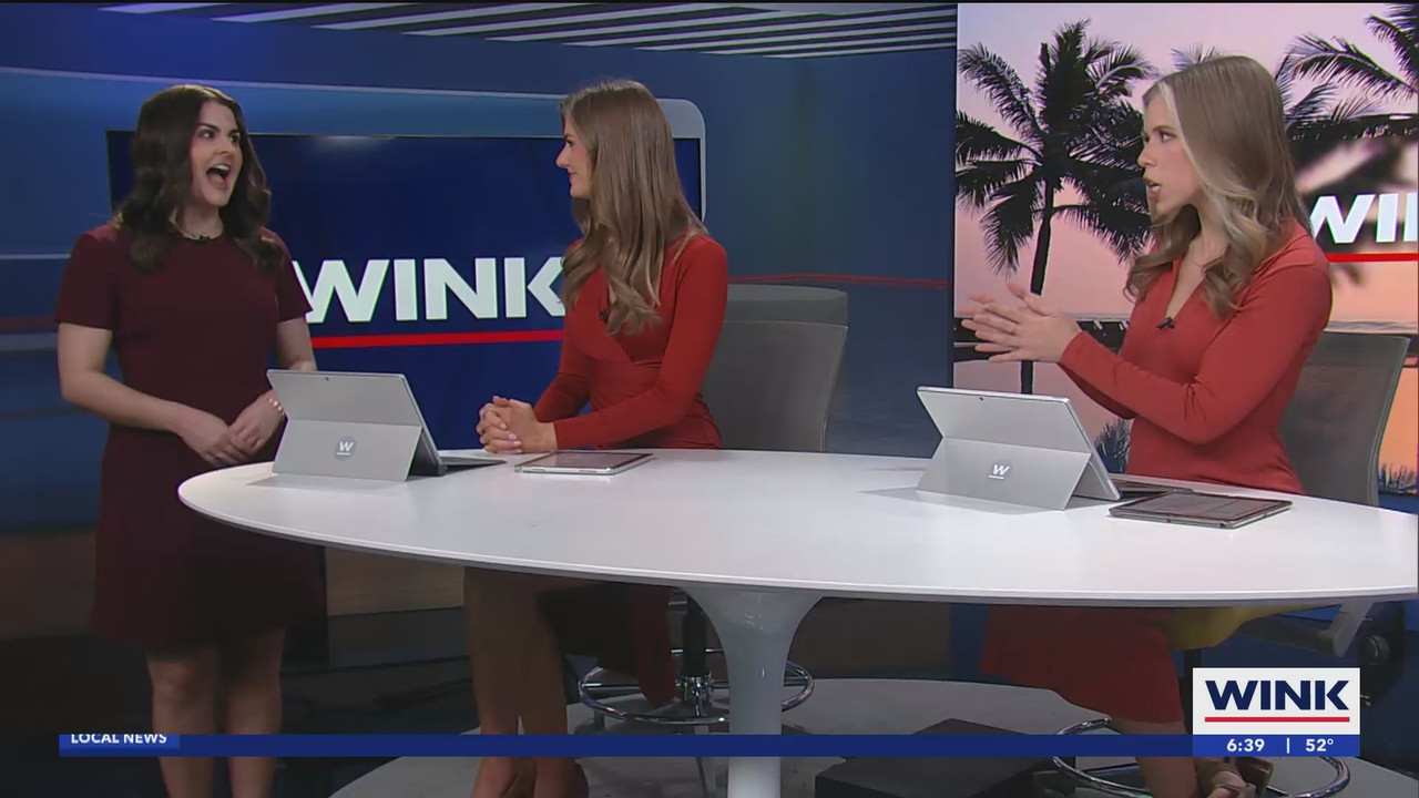 WINK News at 630am_20250102_11301200.ts_snapshot_10.49.655