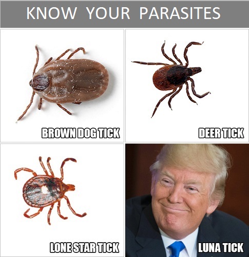 parasites.jpg