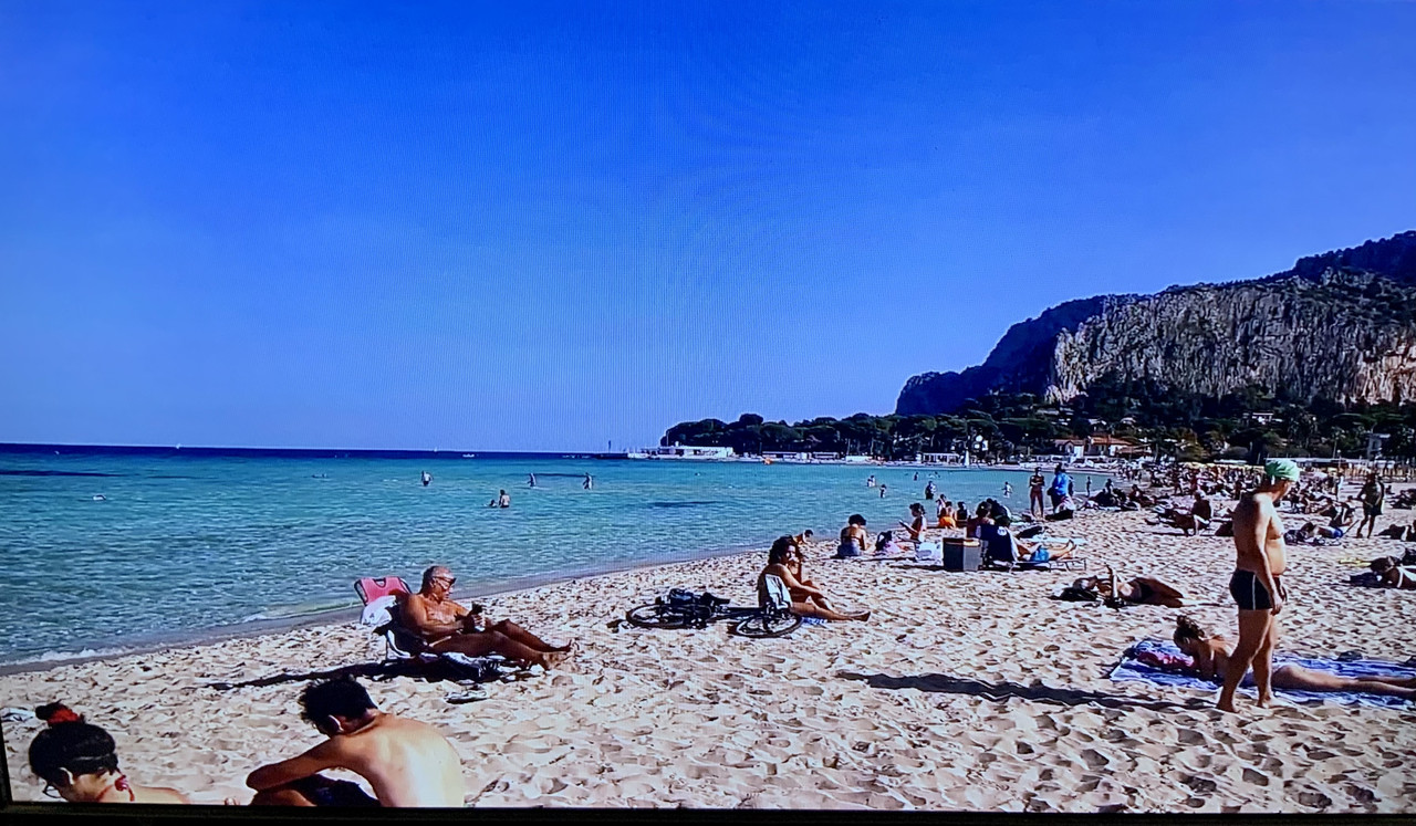 E4A96BC8-6B58-430C-9CF2-5F5193A2FD4D