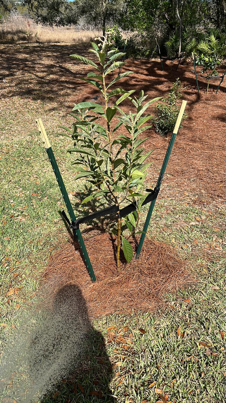 Whats App Image 2026 03 22 at 10 03 00 PM