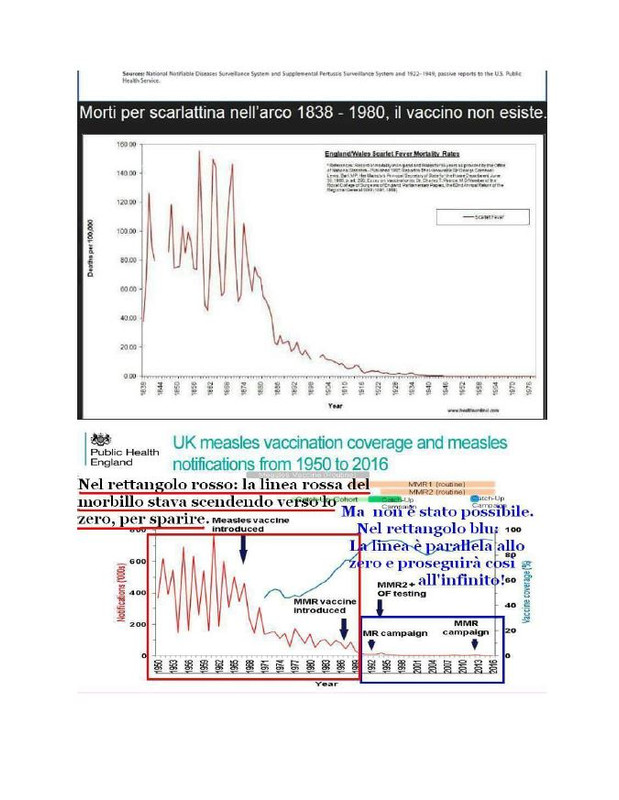 Danni da V I Doc e gli Stu che Ne ha I A P (4)