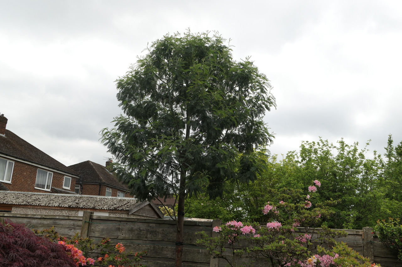 P1040501