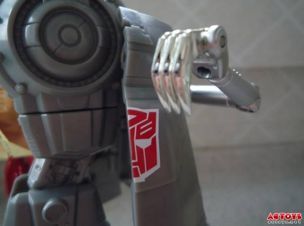 1001583_655738004438095_1101405499_n