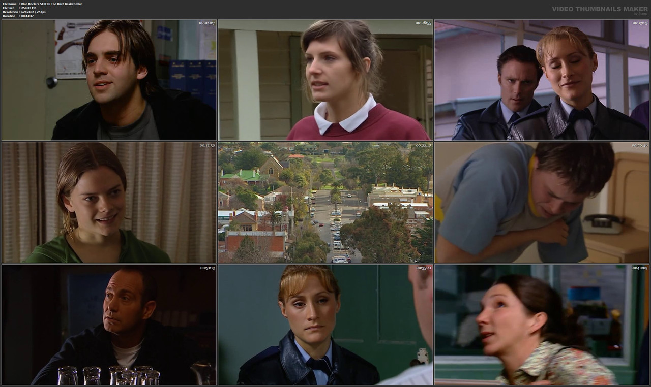 Blue Heelers S10E05 Too Hard Basket.mkv