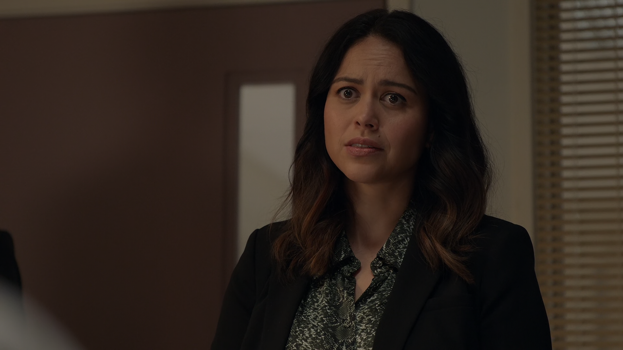 The.Rookie.S07E10.Chaos.Agent.1080p.10bit.AMZN.WEB-DL.DDP5.1.HEVC-Vyndros.mkv_snapshot_35.46_[2025.0