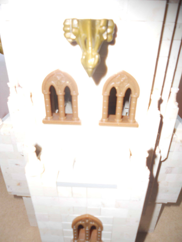 DSCN0613
