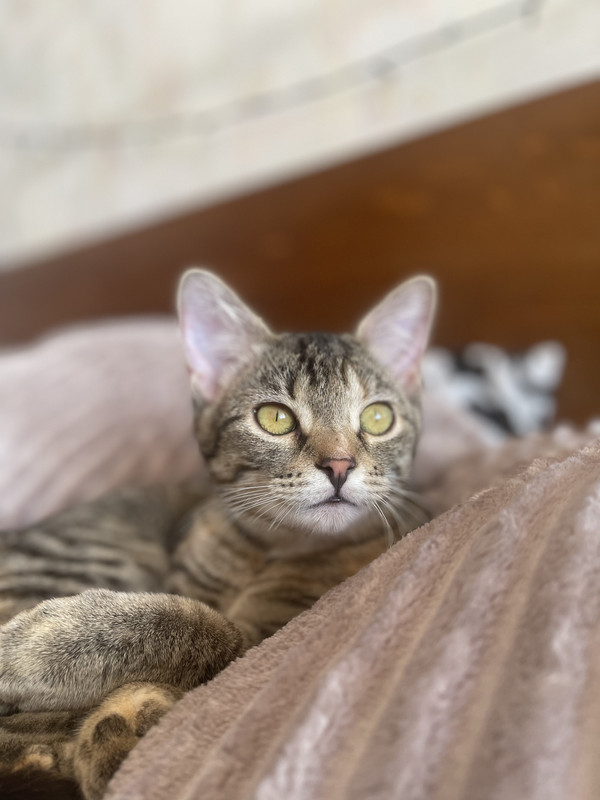 14E44AE0-E751-4E17-A9ED-E9C690710DDF