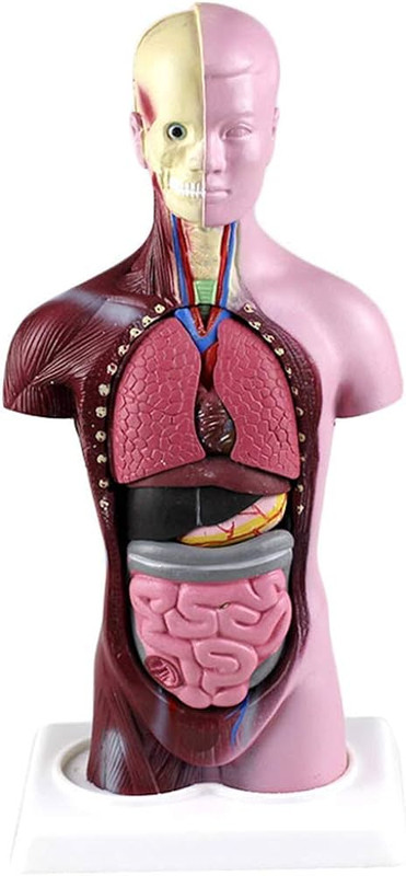 516MW7KlycL._AC_UF894,1000_QL80_