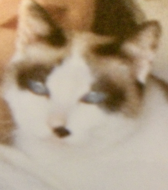 7814B6BF-DBCD-4D98-A2E4-A1143DB6AF8C