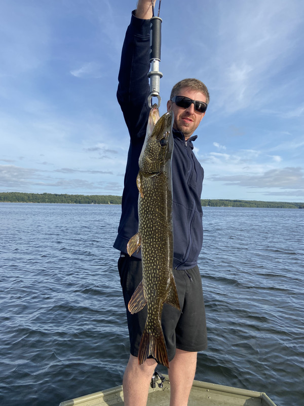 Pike_Rob
