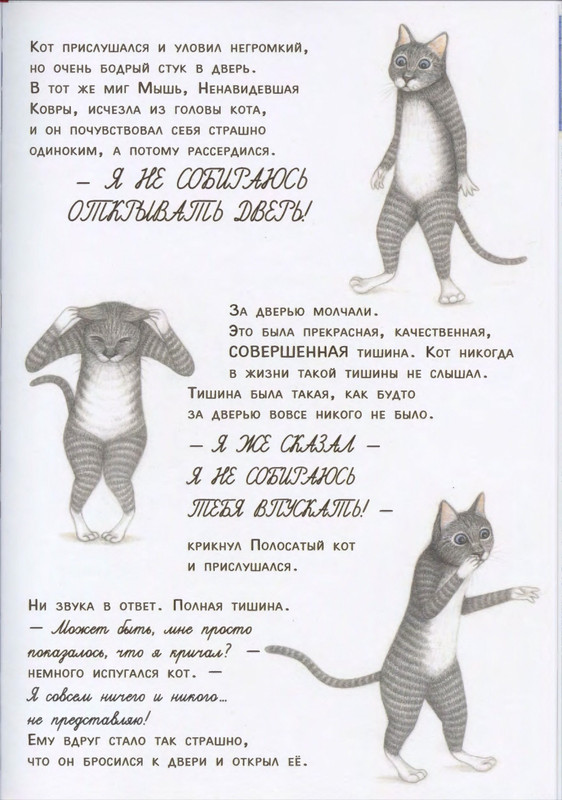 Зоболи Дж., ди Андреа Л. - Полосатый кот и Таинственная мышь - 2018_page-0025