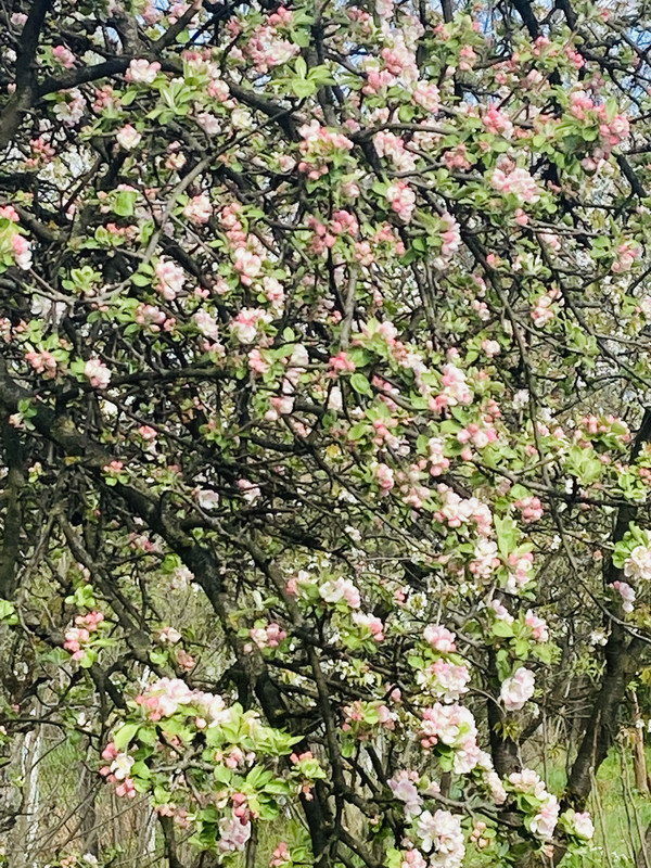 5D4C9E0B-9568-4249-B427-64351F09ECE9