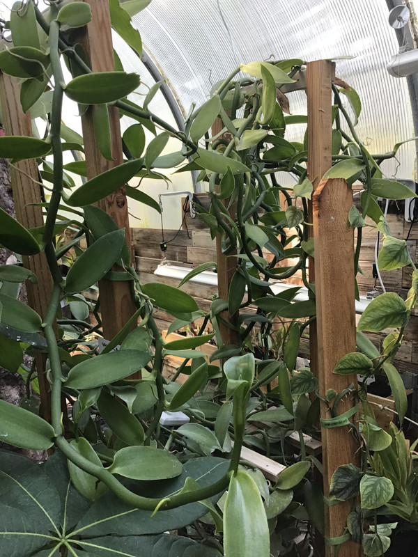 36A8EF71-7CEB-462C-8635-B12FFA5AF39C