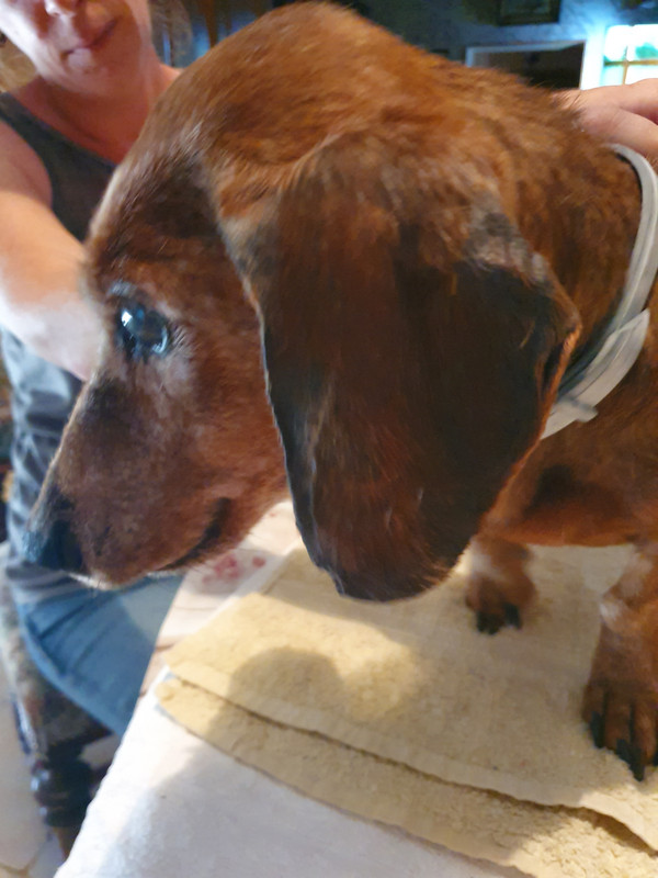 [Image: 20220615-164124.jpg]