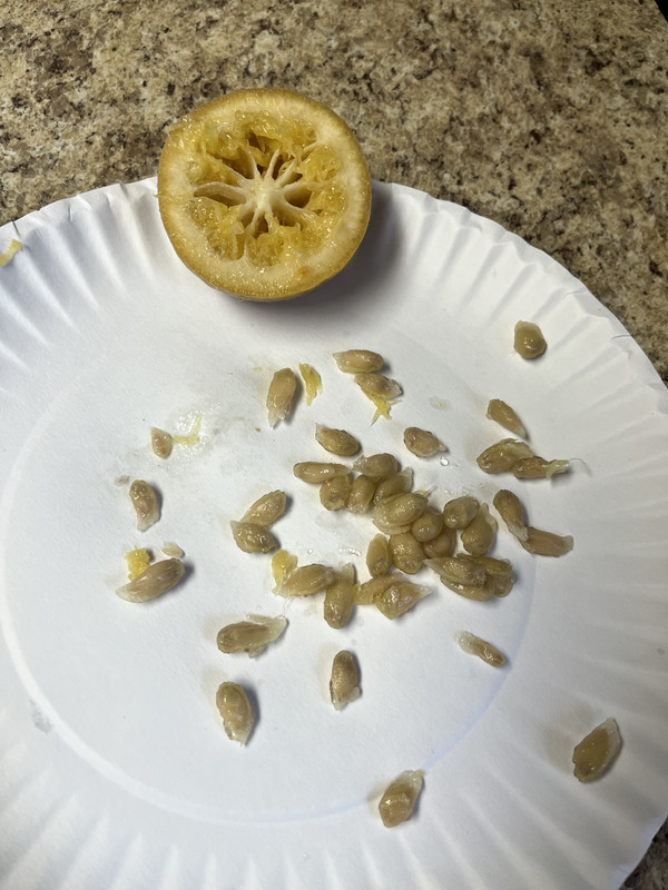 EE2A99A8-4E5C-48FC-904B-C26DF998D29F