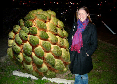 giant watermelon