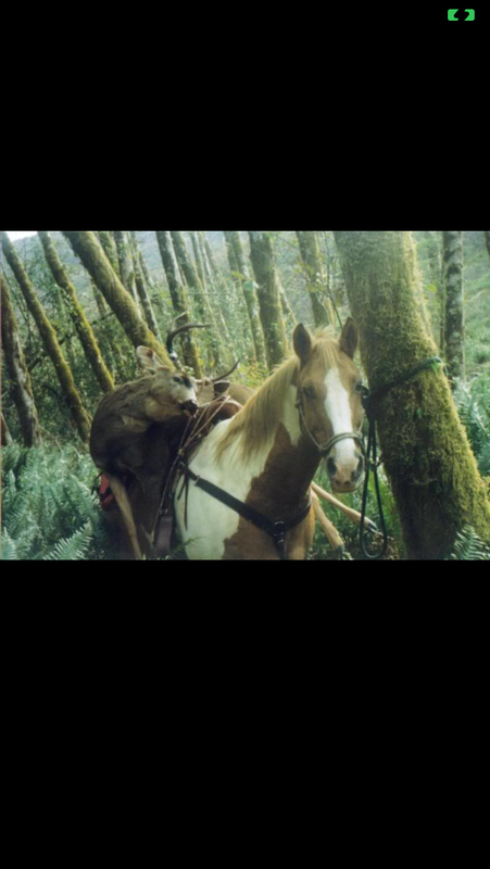 BA1F5DAD-E4CD-46FF-90FD-3EB4EB90B7A7