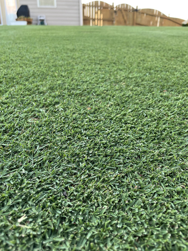 8CE940D6-7B45-4F38-8C0A-A0763E39918A