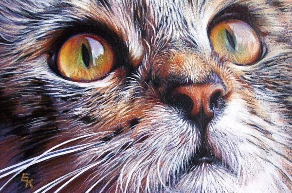 tabby-look-2-yelena-kolotusha