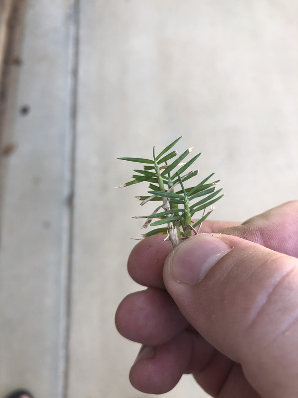 69BBAEAB-0177-4073-90B2-DD4C33A01088