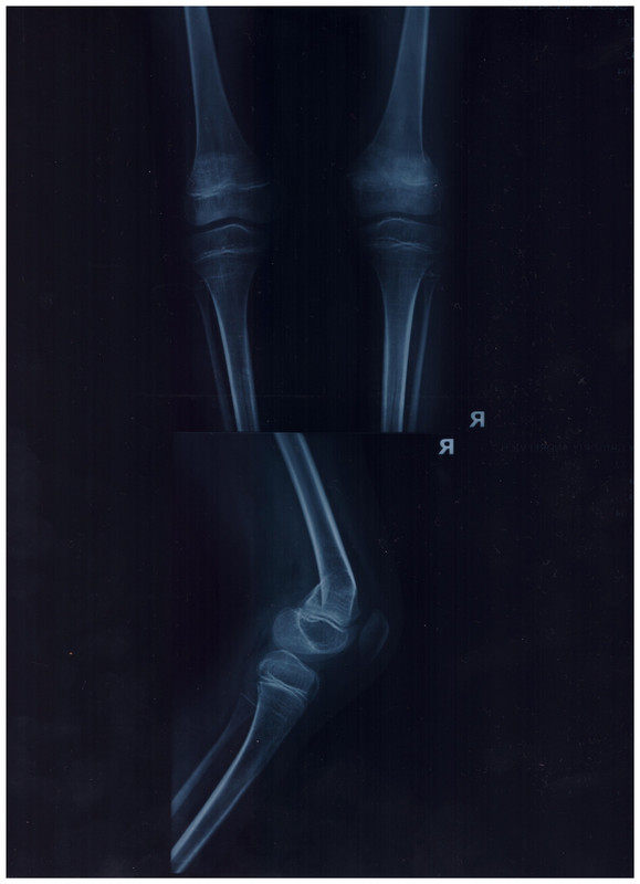 AEA6B355-C8C6-4E48-B6B3-222954D09A05