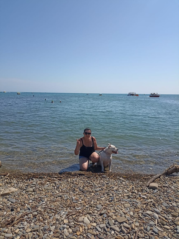 54957F61-382A-4A2A-B2F4-F4CC9C9B444D