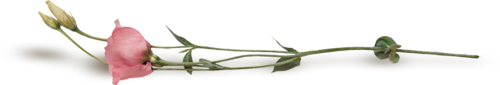 Fabula-VC-ele-95.png