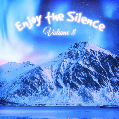 VA - Enjoy The Silence Vol. 8 (2020)