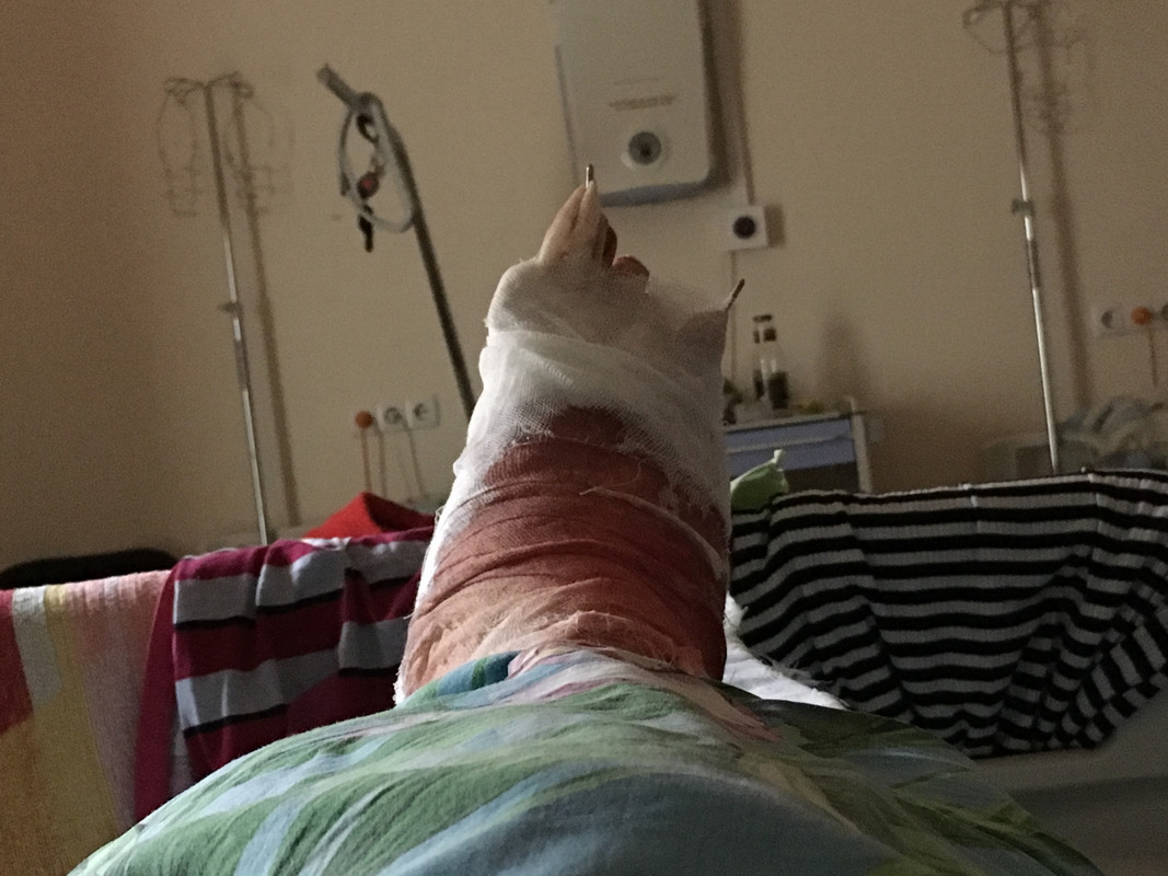 99C0D4D0-90E4-4F6A-961D-09EDDD8E78DC