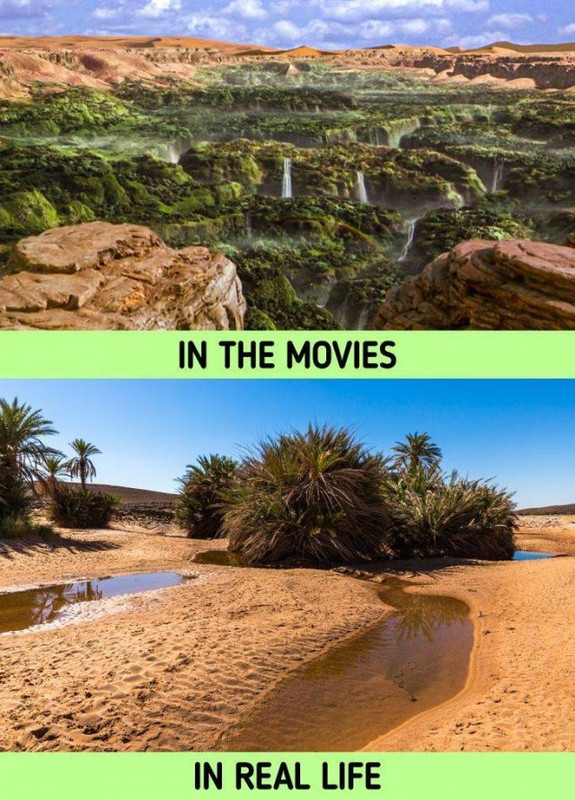 movies-5