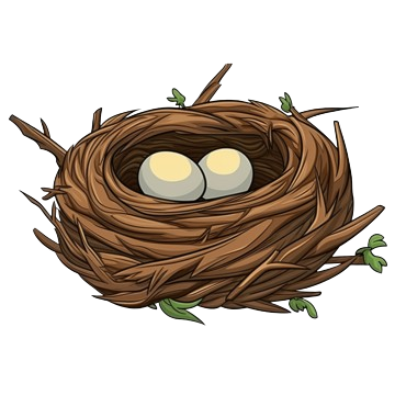 Nest