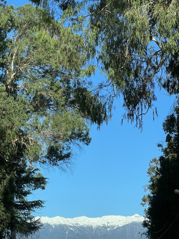 574332CC-3C1F-4B23-BBDB-806BF910452C