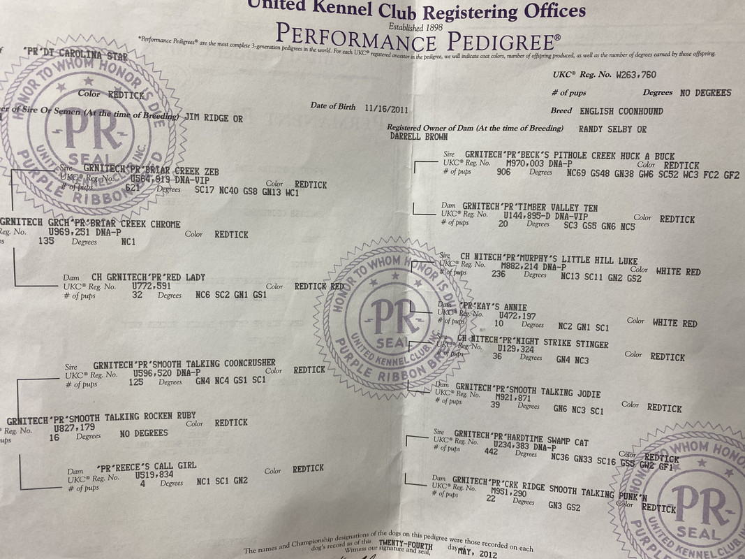 0254A907-C3DA-4301-A1FC-6C9FB9BE6744