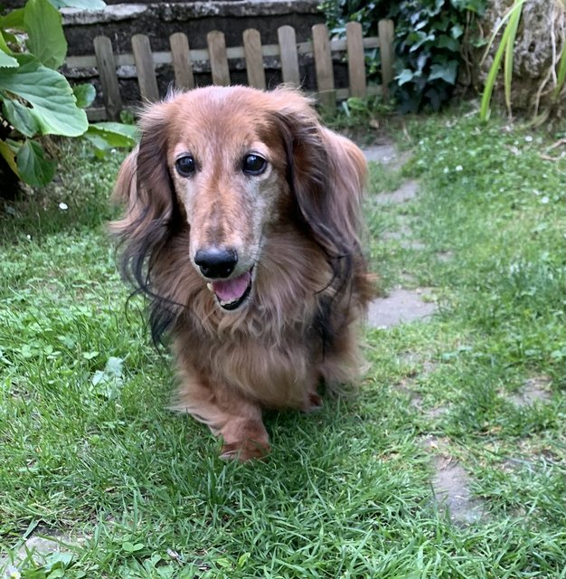 [Image: IMG-6640.jpg]