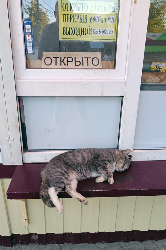 ЗАРАЙСК_2023_213