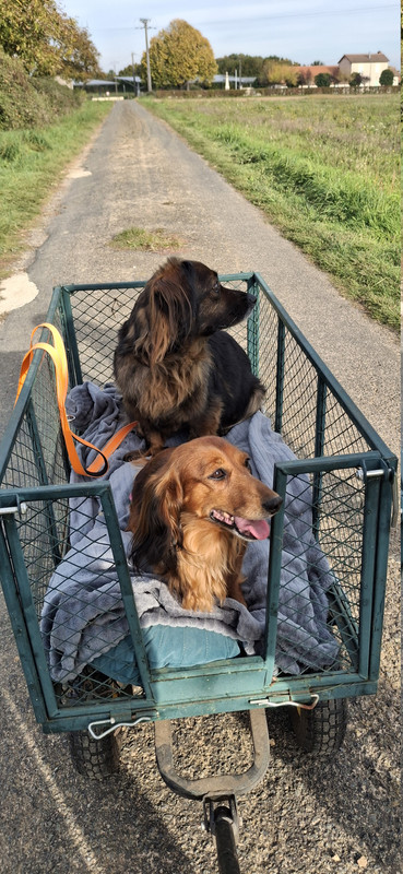 [Image: 20251018-163537.jpg]