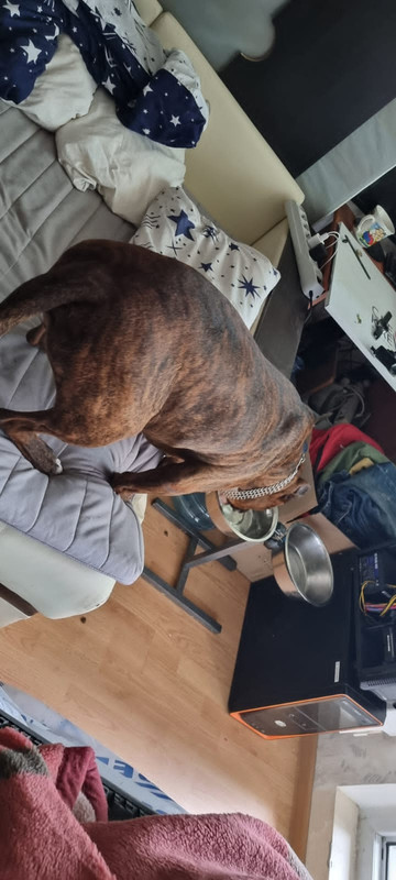 A89A3A57-559B-4729-A1C1-40E89ED80F0C