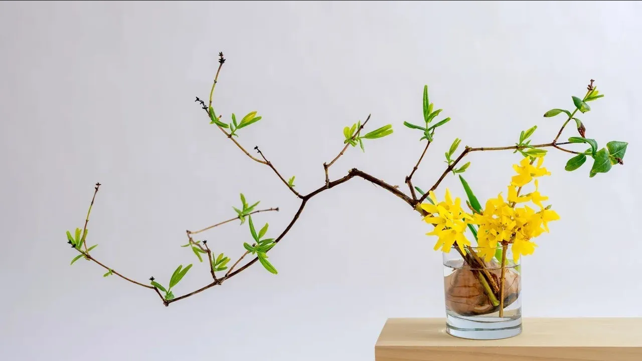¿Cómo crear arreglos de flores vivientes? Aplica esta técnica japonesa