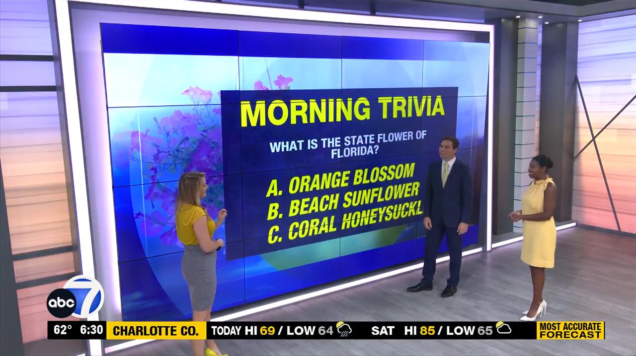 03.19 - 10.00.00 - More In The Morning Weekend 6 Sunday  ᴺᵉʷ. News Co...-1.mp4_snapshot_00.35.55_[20