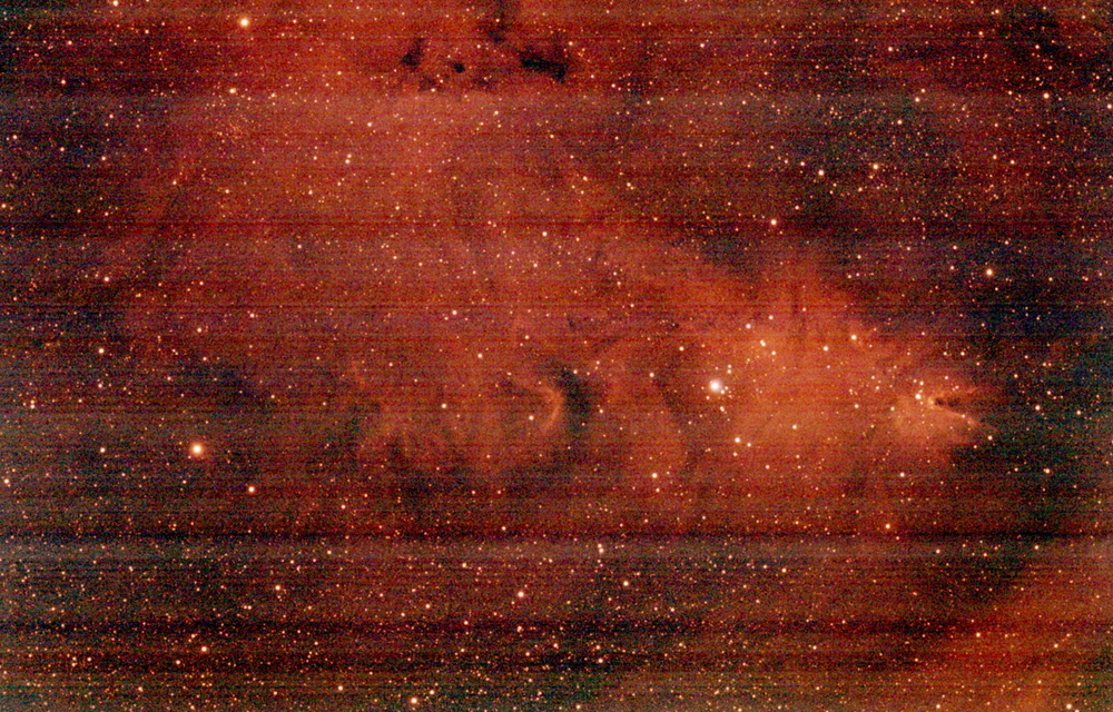 cone-HaforSGL.thumb.JPG.c7d855f8c844f3463818208703f8f55a