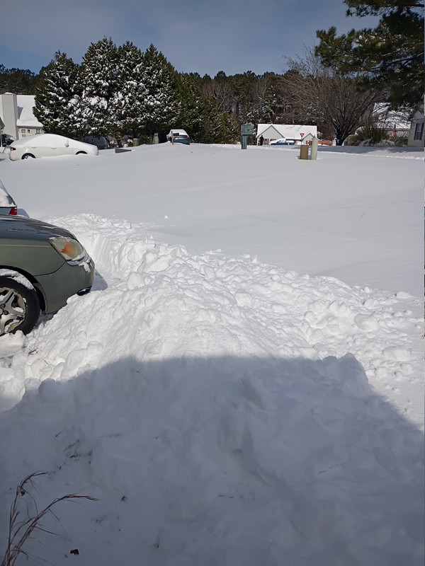 IMG 20260201 105240221